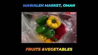 Discover new adventures, rich cultures, and exciting shopping opportunities