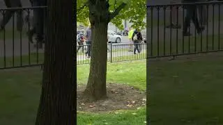 Tackle at No Kings Protest in Spokane