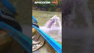 CATCHING A RAMPAGE STURGEON #fishing