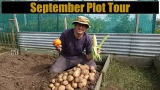 September Allotment Plot Tour - Tour of the Allotment Plot in September
