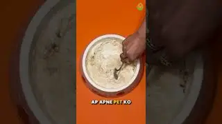 Boost Your Dog&rsquo;s Dahi Chawal with 70% Protein! | PetStrong