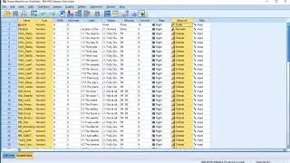 Analyze My Survey (Free Excel Program) -  SPSS data preparation