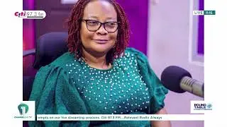 Year One of John Mahama 2.0: Experts Deliver a Thematic Review | Profiles of Panelists