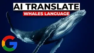 Googles NEW AI Translates Whales Sounds