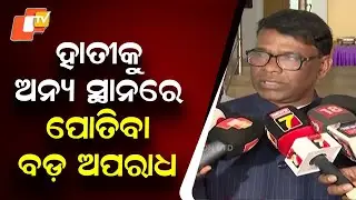 Burying Elephant at Another Location Is a Serious Crime: Forest Minister