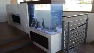 Aquarium Reef Tank Design, Installation and Maintenance Los Angeles l Orange County Fish By Design