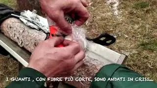 Test su abbigliamento antitaglio Stihl.