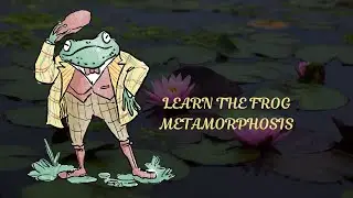 Magic Metamorphosis: How a Tiny Egg Becomes a Hopping Frog - Jump In and Learn! Toddler | Kids Video