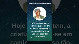 Minuto com Chico e os Esp&iacute;ritos 02 &copy; TV Chico Xavier Brasil #shorts #tvchicoxavierbrasil  #short