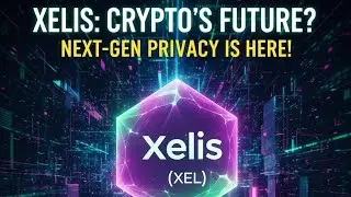 What is Xelis (XEL) Technology? XEL Coin Explained in Hindi. XEL coin Privacy King Next 100x Gem.