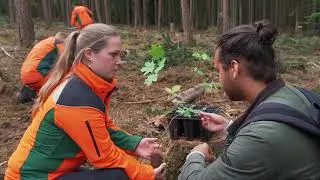 Wir geben keinen Quadratmeter Wald auf.