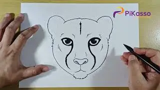 How to Draw a Cheetah Face