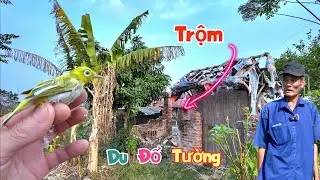 Được Tặng Khuyên Đột Biến Thì Bất Ngờ Nghe Tin Trộ..m Đạp Đổ Tường Đột Nhập Nhà Ông Bạo / Quế Nghịch