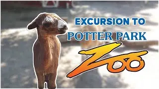 TRIP TO POTTER PARK ZOO, EAST LANSING IN 4K/HD (Lawatan ke Zoo Potter Park / ポッターパーク動物園への旅行)