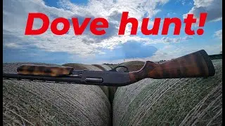 DOVE HUNT VLOG (warning, minor graphic content)