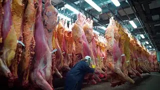 Crazy Food Processing 2021 - Most Satisfying Factory Machines That Will Amaze You