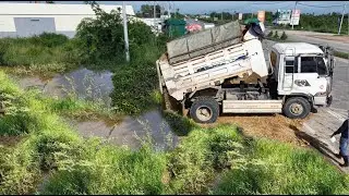 Be Watchful landfill New Project!Flooded Area Truck 5Ton Dumping,Expert Bulldozer Dozer D31P Pushing