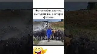 Постер К Фильму😂#юмор#мем#прикол#смех#жиза#анекдоты#шутки#смешнойшортс#комик#shorts#memes#угар#ржака
