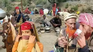 Rare Himalayan Gujjar Bakarwal Nomadic Life | Kashmir Mountains Tribal Migration with Cattle