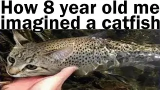 Daily Juicy Memes 954