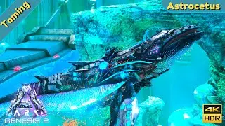 Ark - Genesis 2 : Taming a Astrocetus