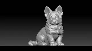 german puppy