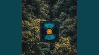The Heart's Reflection