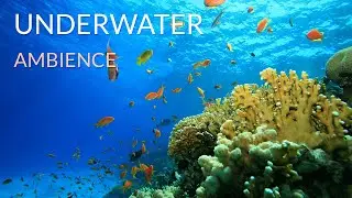 Underwater Ambience - Still Image, Sleep, Study