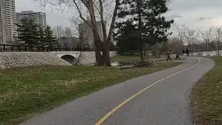Flooded Pathways