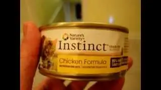 Natures Variety Instinct Canned Cat Food Chicken - ねこ - ラグドール - Floppycats