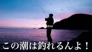 冬エギングは潮を釣る！Batuta80Sを使うと釣れる潮がわかるようになるというお話　やますてぃ　TRANSCENDENCE  冬イカ