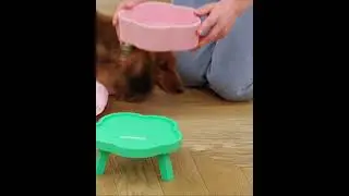 Elevated Ceramic VETRESKA Flora Ceramic Pet Bowl