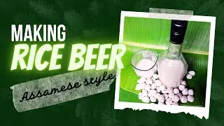 Rice Beer | Haaz M&oacute;d &aacute;pong |  Homemade | Wild Brewers Yeast #RiceWine #Yeast  Buy #BrewersYeast