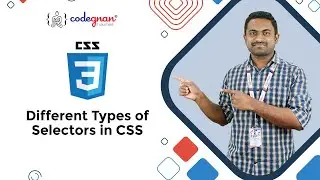Different types of Selectors in CSS | CSS Selectors  | FrontendPlaylist