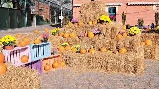 #Dekoracje na Halloween#Jesienna Dynia#Pumpkin Field in Galeria Kazimerz Krakow#Pumpkin maze#JRworld