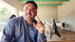 MaloomAati video farm kaise banaya Jaaye