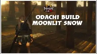 NIOH 2 - Odachi Build / Moonlit Snow Damage