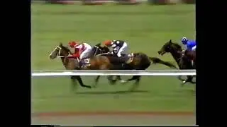 1986 Melbourne Cup Bill Collins
