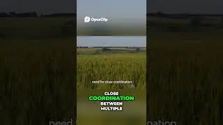 Проблемы и экономический потенциал скоростной автомагистрали Бангалор-Ченнай