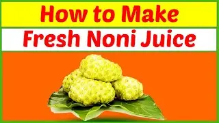 How to make fresh noni juice for good health.| Noni juice Health benefits