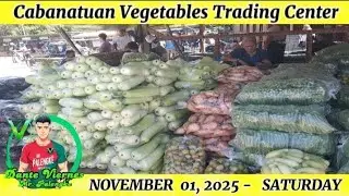 PANIGANG, KALAMANSI ANGAT ANG PRESYO SA CABANATUAN VEGETABLES TRADING CENTER