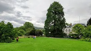 Hermannshof - beautiful private Botanic Garden in Weinheim, Germany
