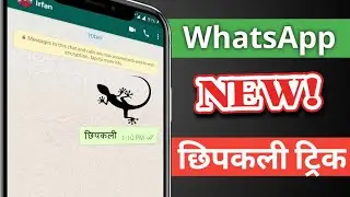 WhatsApp Secret Chats Setting 2019