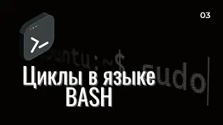 Основы Bash | Циклы
