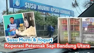 Susu Murni KPSBU Lembang ( Koperasi Peternak Susu Bandung Utara ) susu murni & yogurt segar