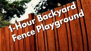 Why Your Backyard Needs a Bird Choir