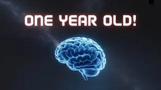 1 Year of Dude Brain Food and What I Learned