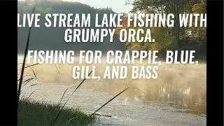 Fishing for crappy, bluegill and possibly bass with 2.5&rdquo; Gulp Minnow, Daiwa Presso & Legalis LT1000S
