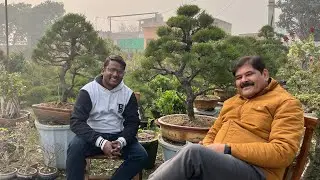 Bonsai Repotting Demonstration by Master Jaipal Singh Ji 🪴👌 Bonsai Bazar Tutorials
