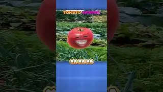 The cutest tomato #sleduck #vtuber #fyp